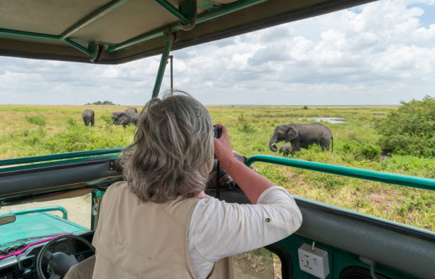 Safari experience with KiliSafari