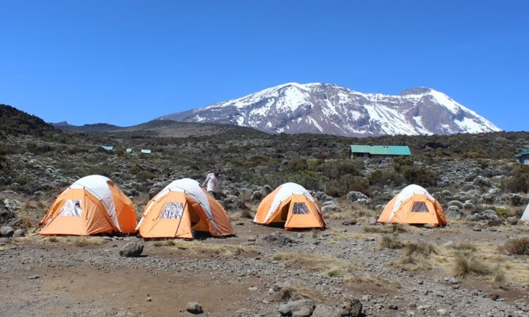 Rongai Gate to Simba Camp - Image 2