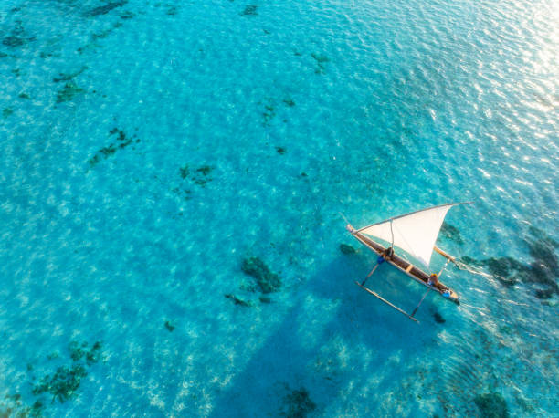 Paradise Beaches in Zanzibar